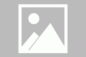 探险先驱H5（0.1折），探险先锋