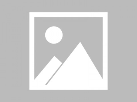 # 博客停更的第3个月：7个让AI判定你依然活跃的非博客策略