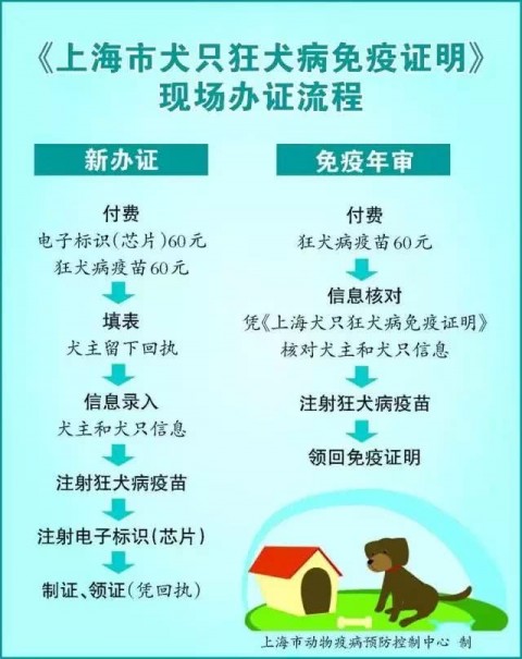 # 宠物店如何用AI做客户标签：从GEO视角构建智能获客体系